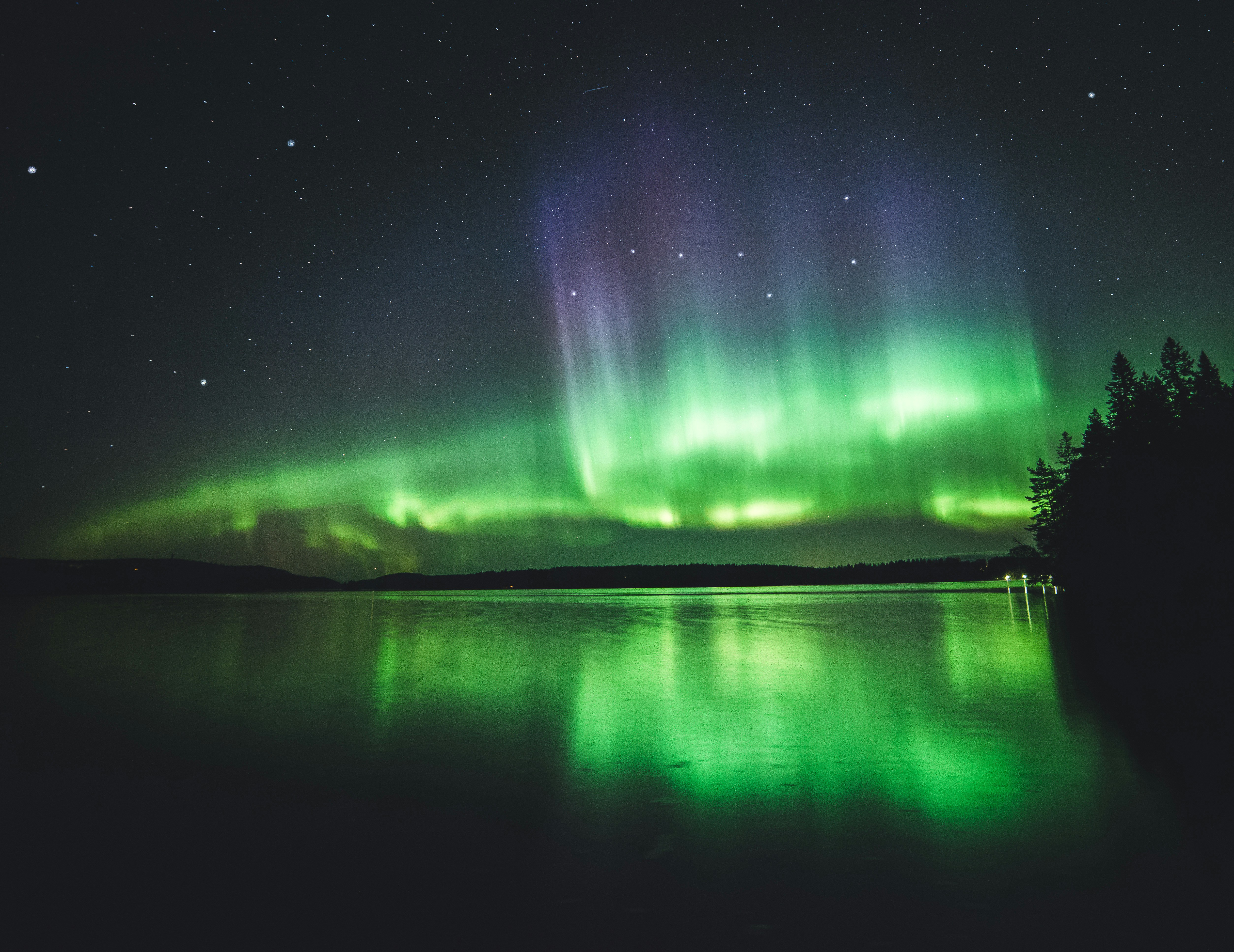 Niilo Isotalo Fdeb6kaviq4 Unsplash